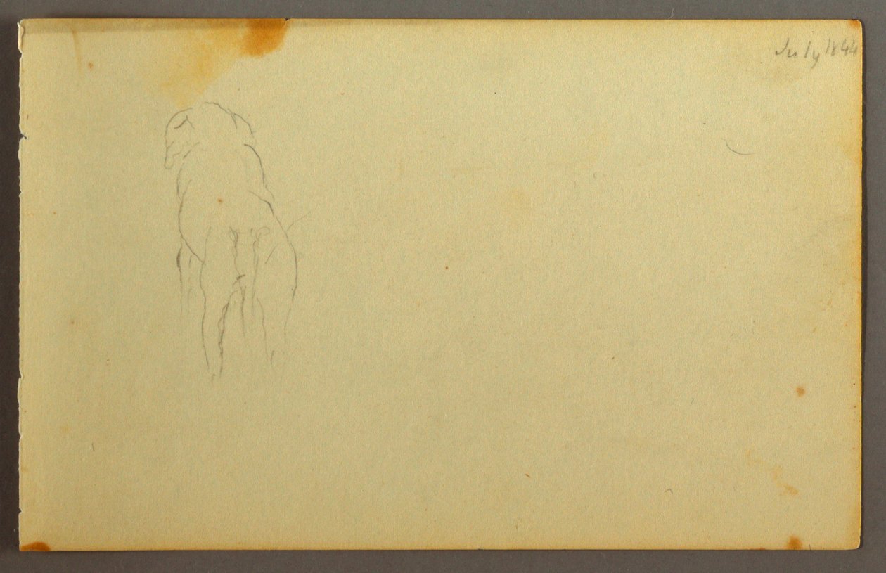 Tegning, dyr, set bagfra, 1844 af Frederic Edwin Church