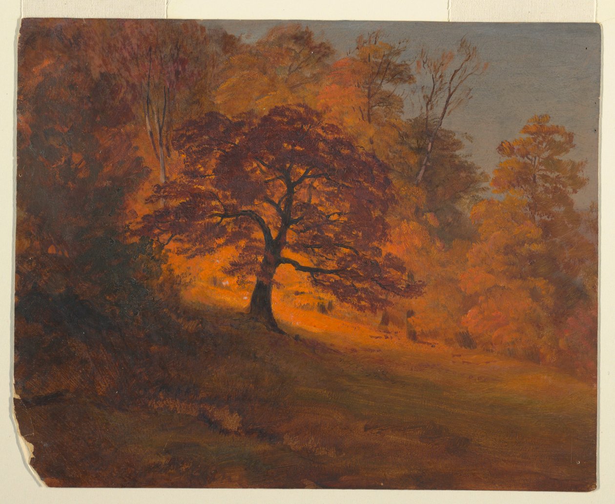Tegning, efterårsløv, 1867 af Frederic Edwin Church