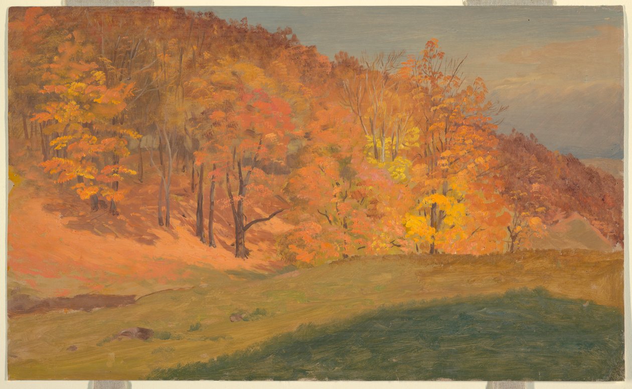 Tegning, Efterårsskov, ca. 1870 af Frederic Edwin Church