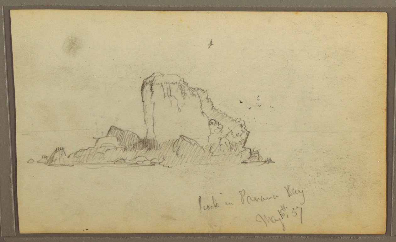 Tegning, Bireds, "Rock in Panama Bay"; bagside: "Heavy Vines", 15. maj 1857 af Frederic Edwin Church