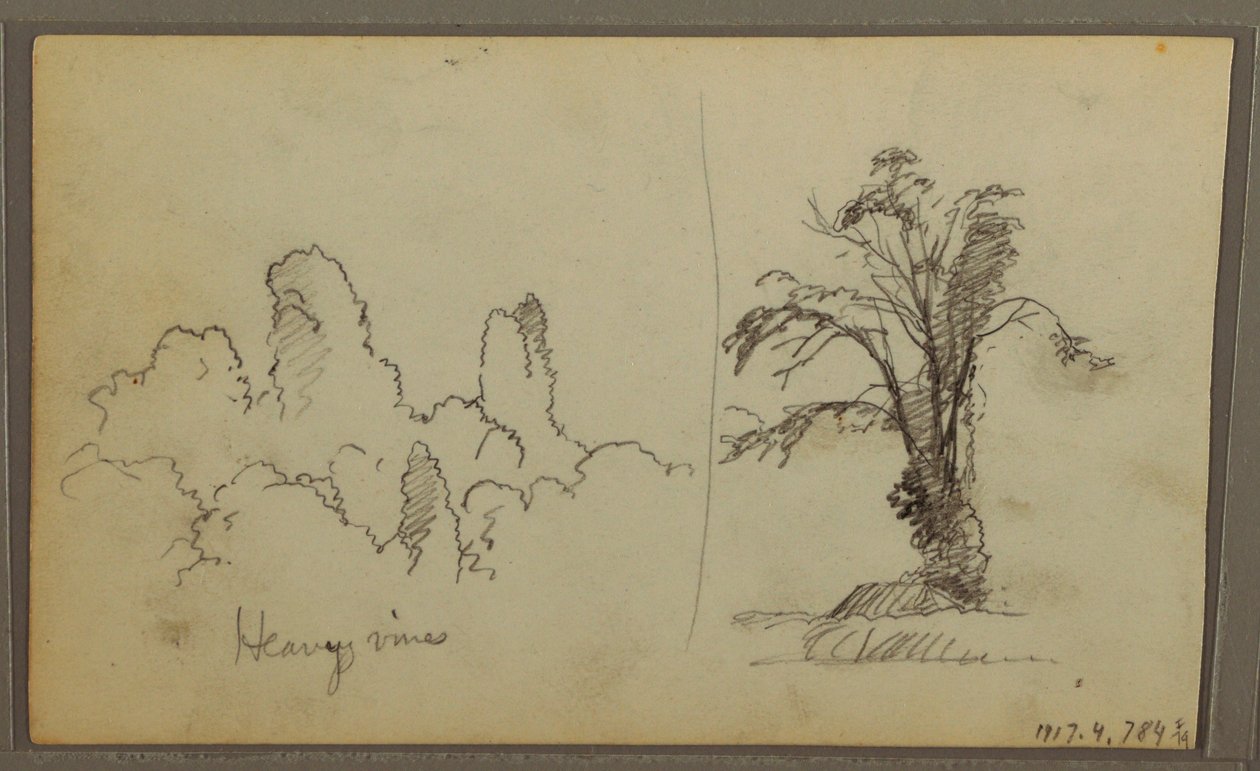 Tegning, Bireds, "Rock in Panama Bay"; bagside: "Heavy Vines", 15. maj 1857 af Frederic Edwin Church