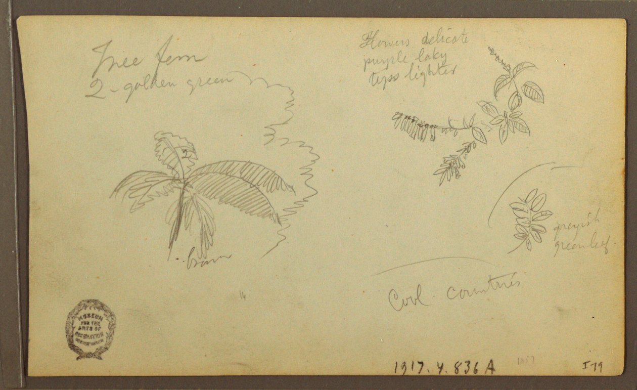 Tegning, Botaniske skitser; bagside: Botaniske skitser, 1857 af Frederic Edwin Church