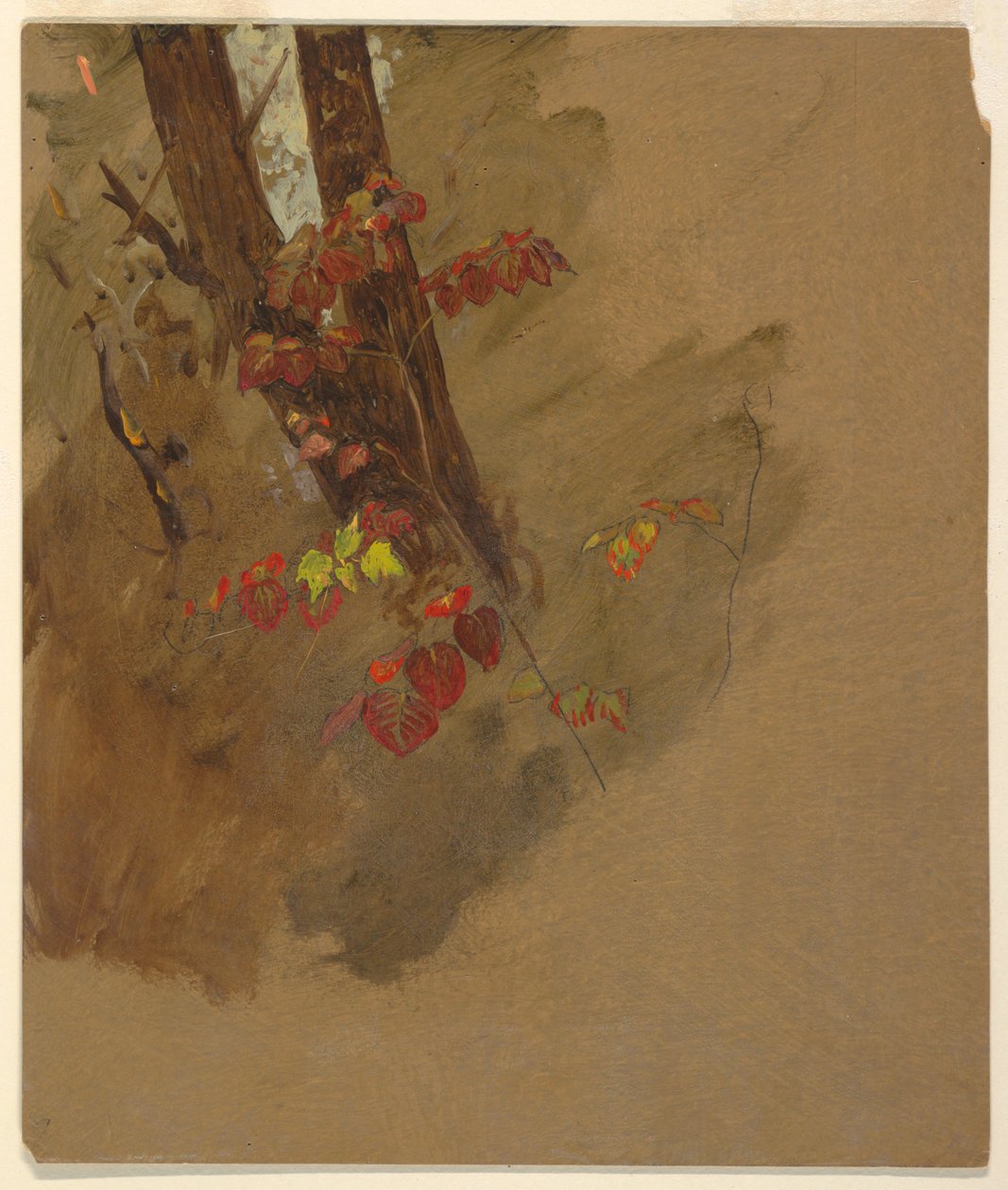 Tegning, botaniske studier, 1860-70 af Frederic Edwin Church