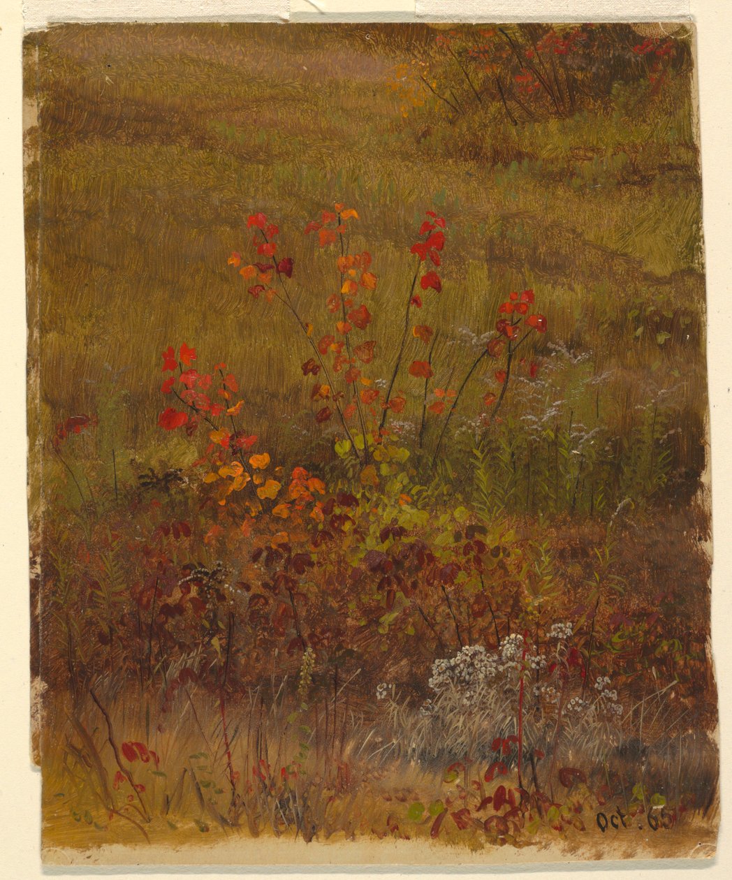 Tegning, Botaniske studier, oktober 1865 af Frederic Edwin Church