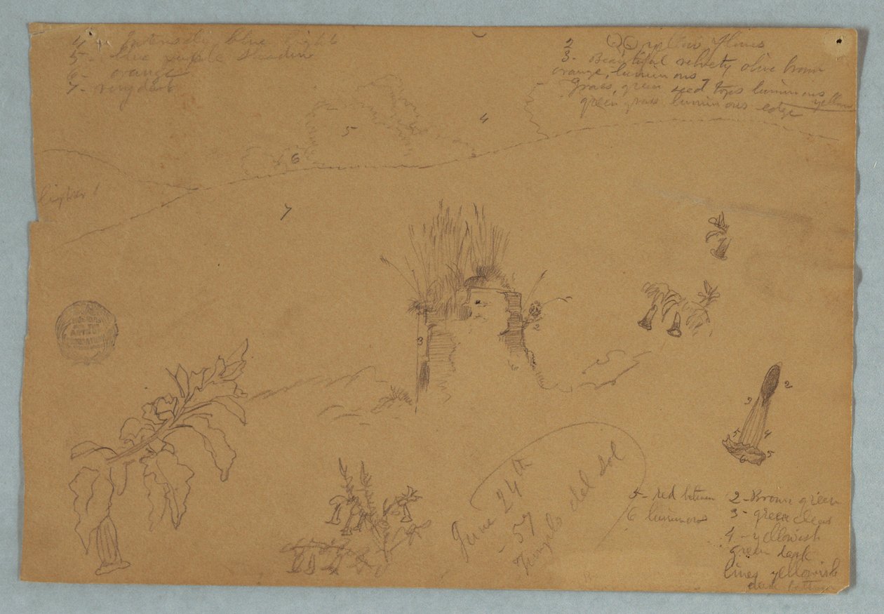 Tegning. Botaniske og skyskitser nær Quito, Ecuador af Frederic Edwin Church