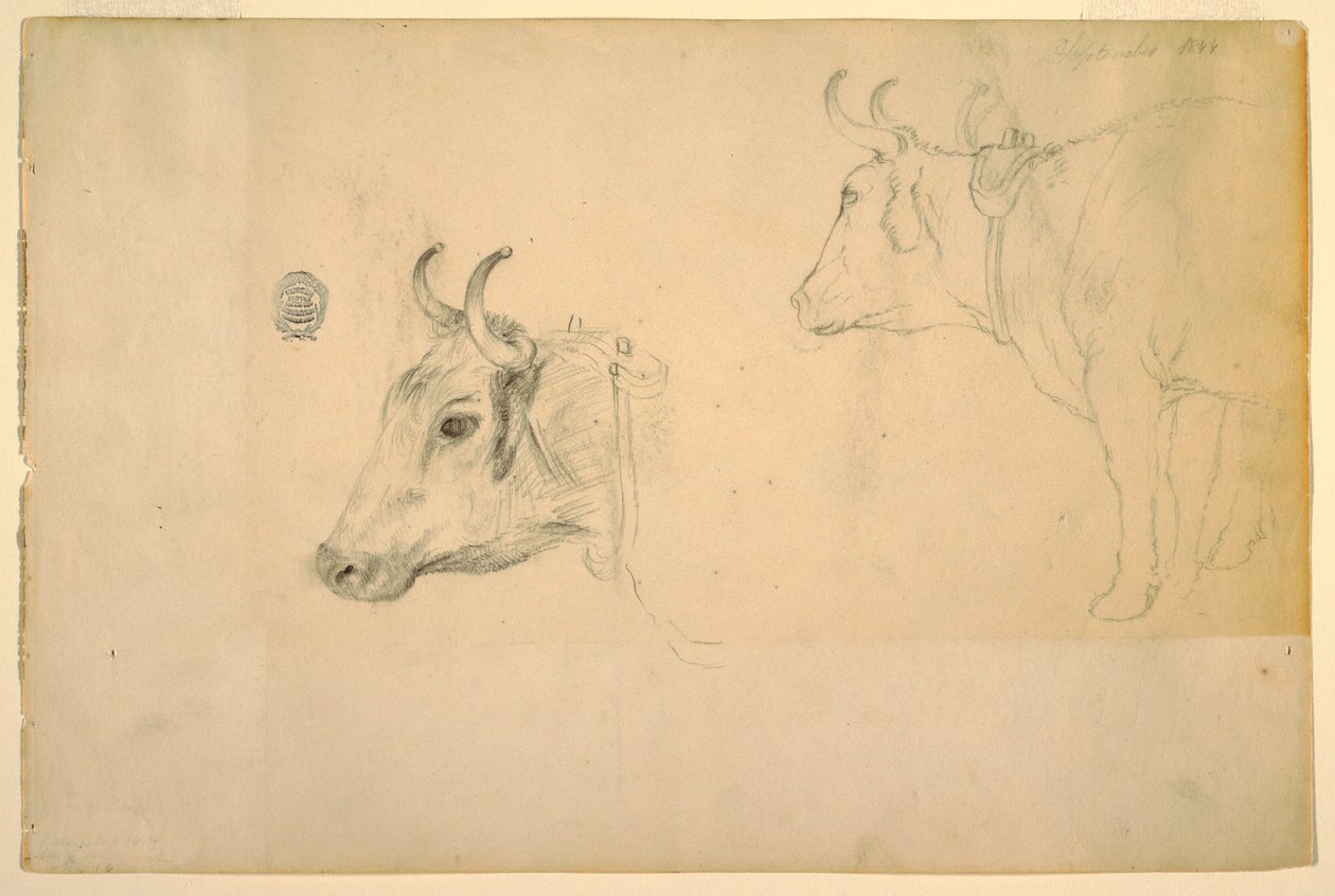 Tegning, Kvæg, september 1844 af Frederic Edwin Church