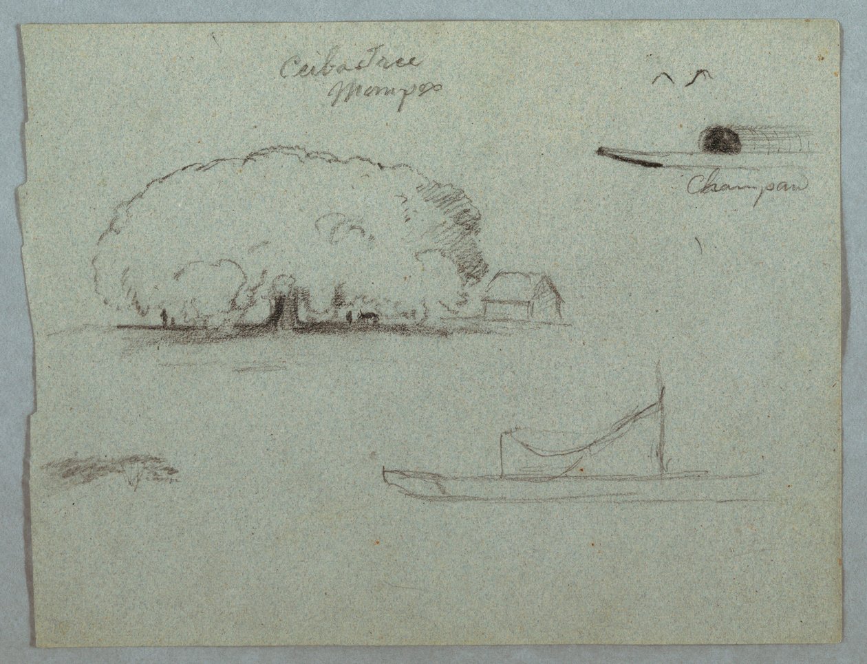 Tegning, Ceiba-træ ved Mompos, Champan-kano, træer og en delvis båd, Rio Magdelena, Colombia, 1853, sandsynligvis maj af Frederic Edwin Church
