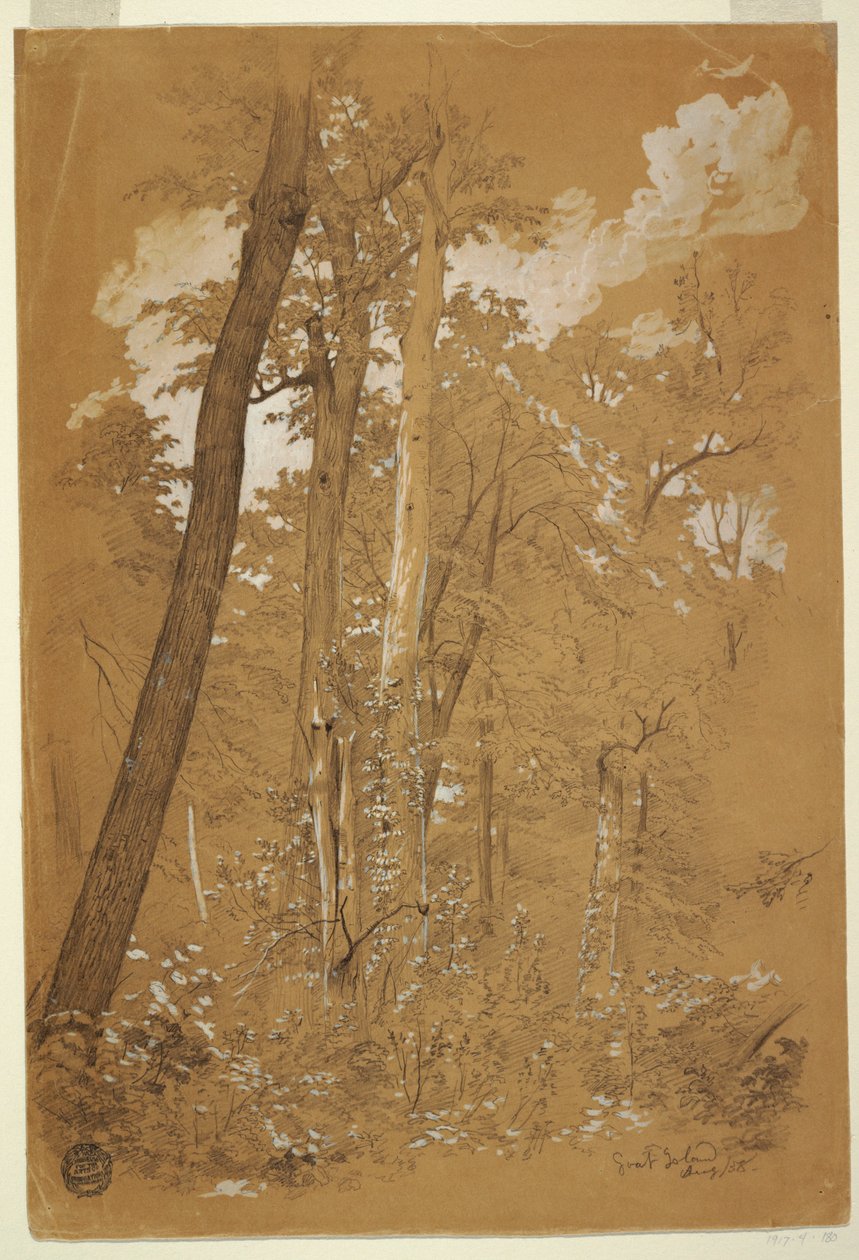 Tegning, kastanjetræer på gedeøen, Niagara -floden, New York, august 1858 af Frederic Edwin Church