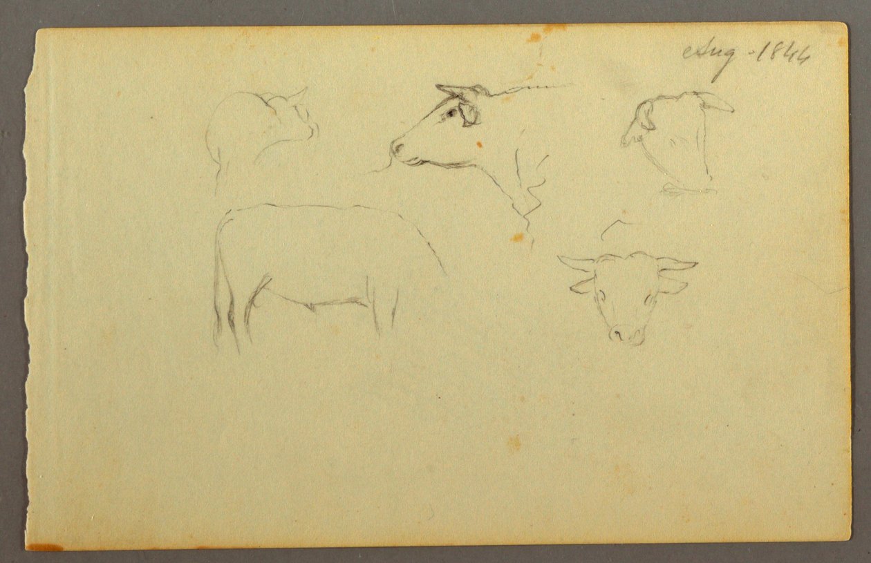 Tegning, køer, 1844 af Frederic Edwin Church