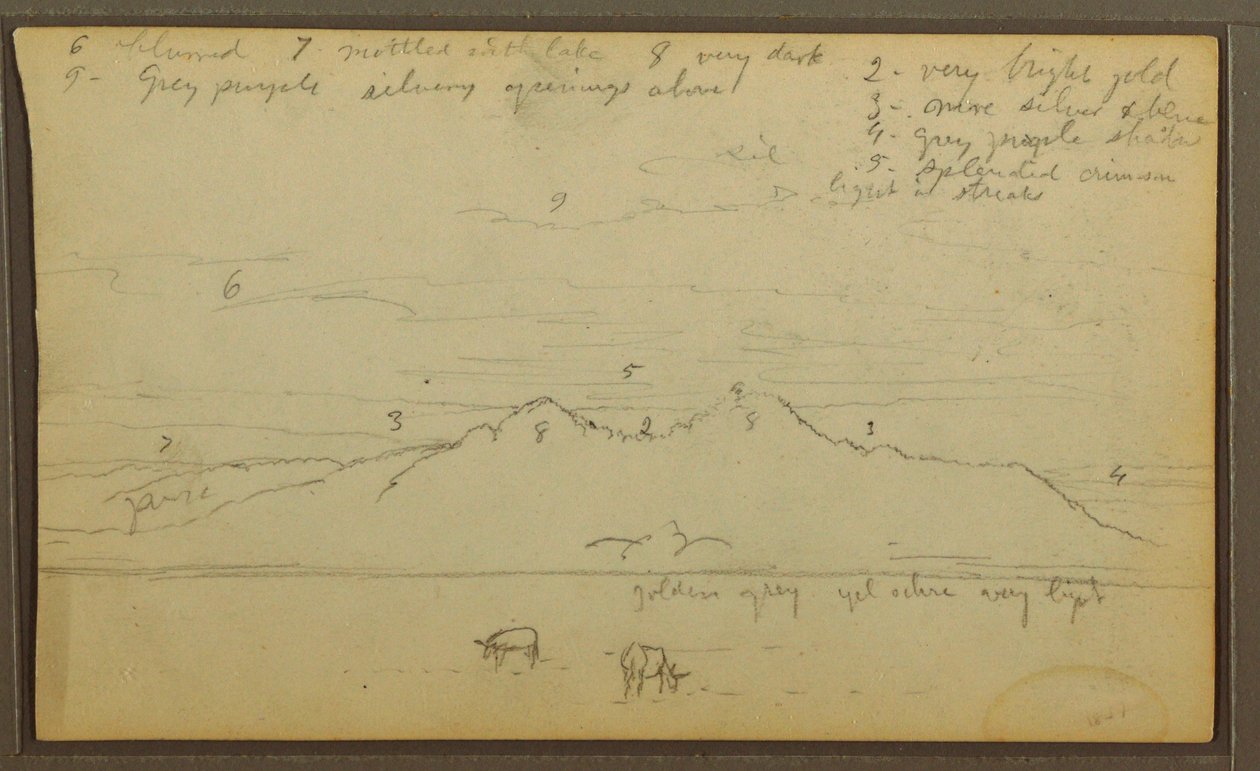 Tegning, køer i landskab; bagside: bambus, 1857 af Frederic Edwin Church