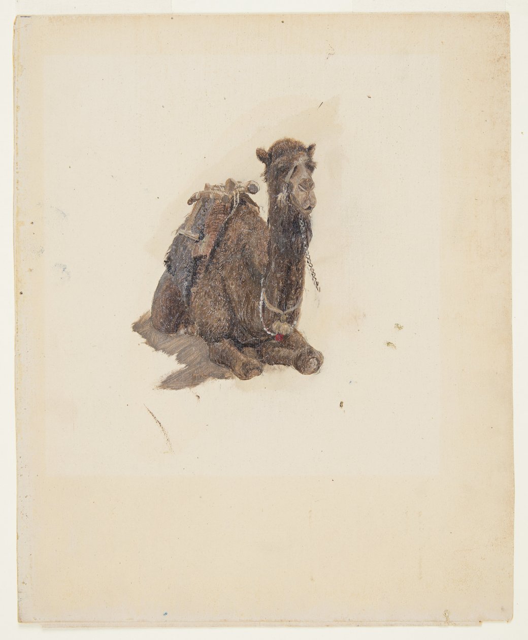 Tegning, Hukende dromedar, 1868 af Frederic Edwin Church