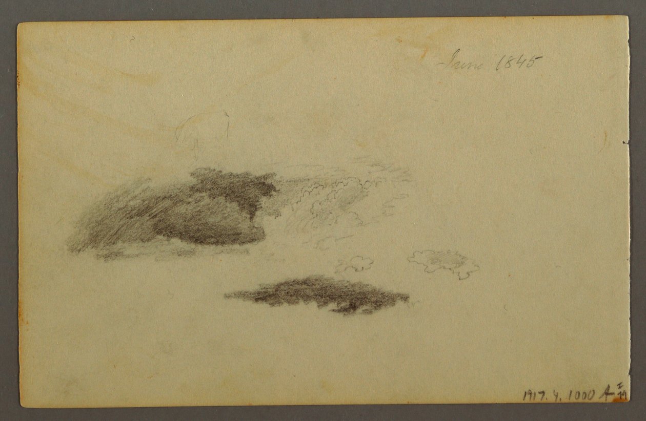 Tegning, Forfalden birk, 1844 af Frederic Edwin Church