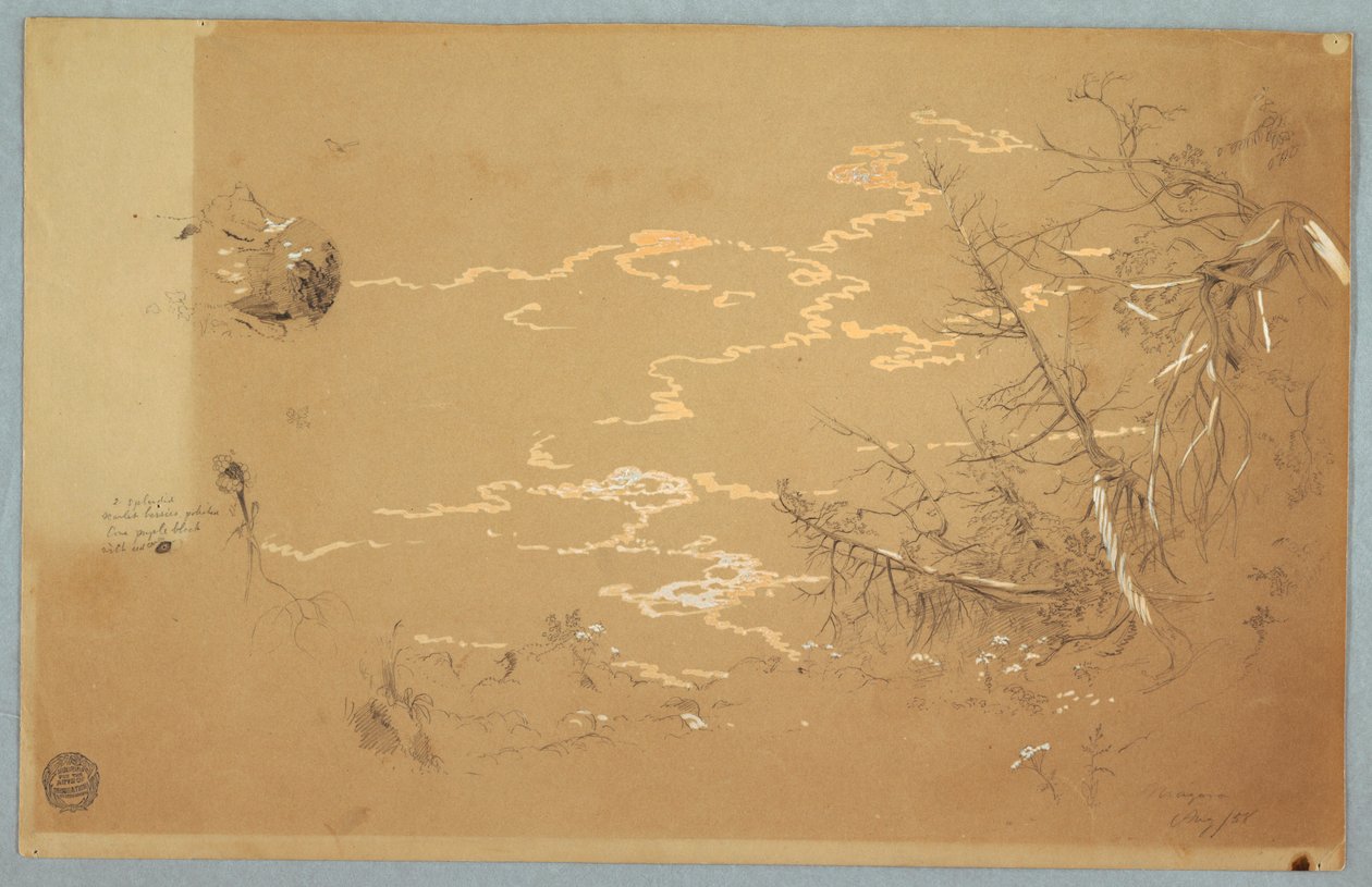Tegning, Detailbillede af kanten af den canadiske bank, august 1858 af Frederic Edwin Church