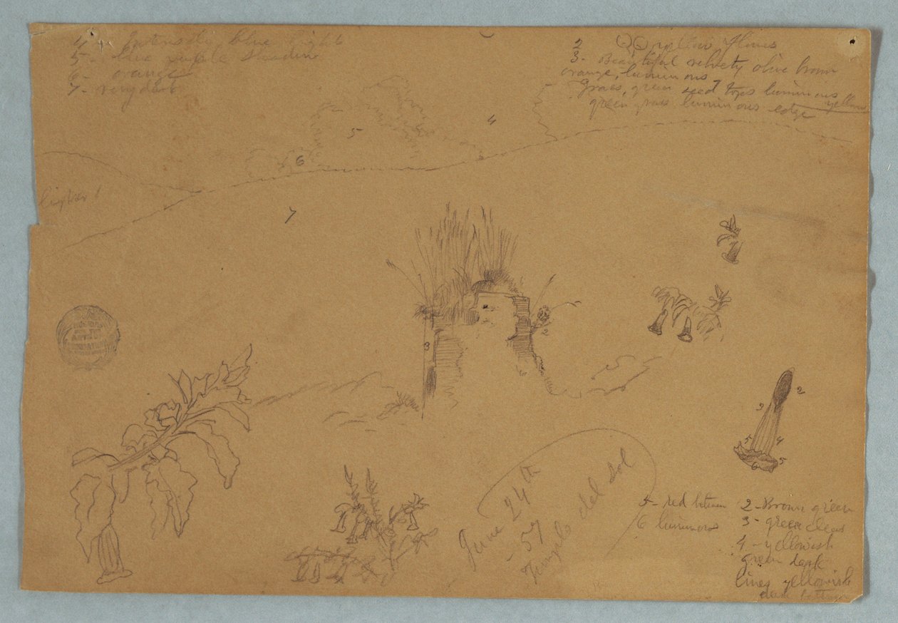 Tegning, Tegning.  Botaniske skitser og skyer nær Quito, Ecuador, 24. juni 1857 af Frederic Edwin Church