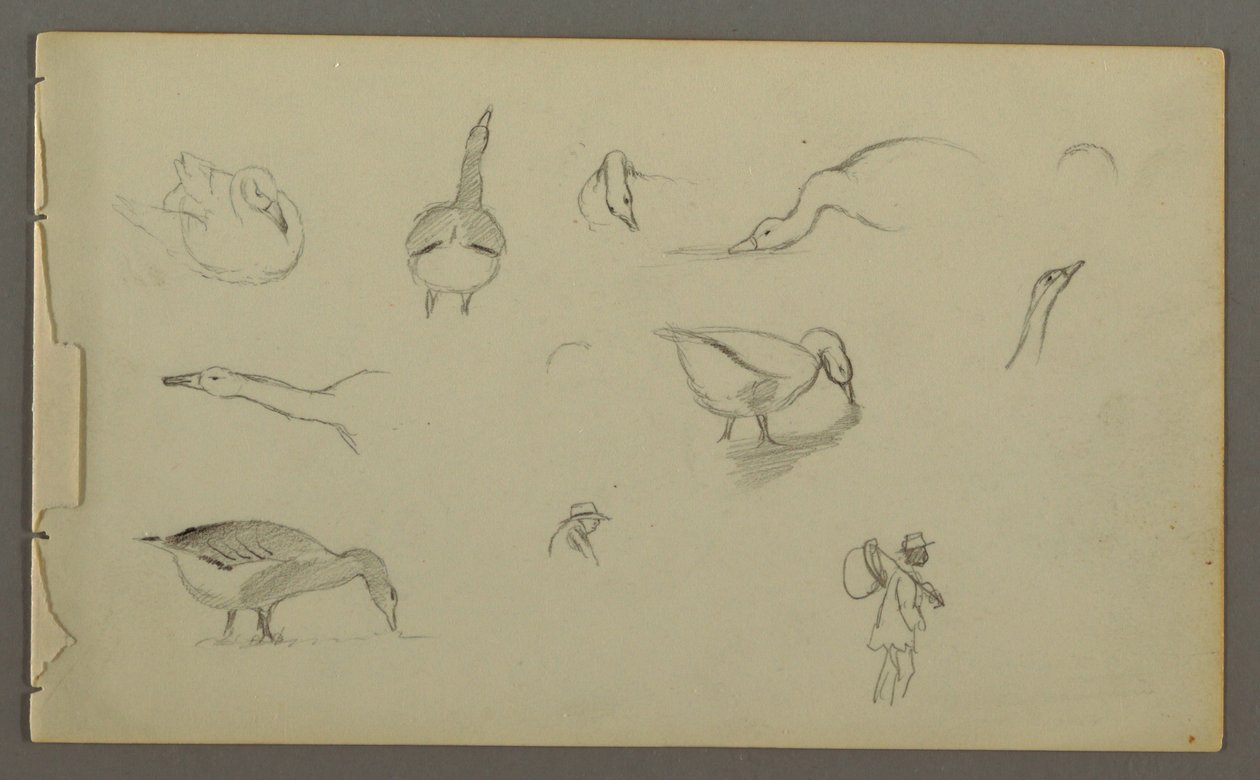 Tegning, Otte studier af ænder, to figurstudier, muligvis 1857-58 af Frederic Edwin Church