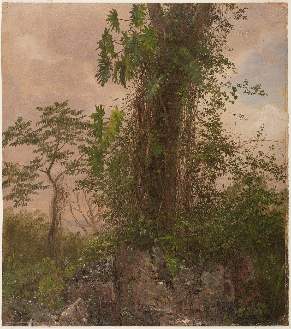 Tegning, Figentræ og vild filodendron, 1865 af Frederic Edwin Church