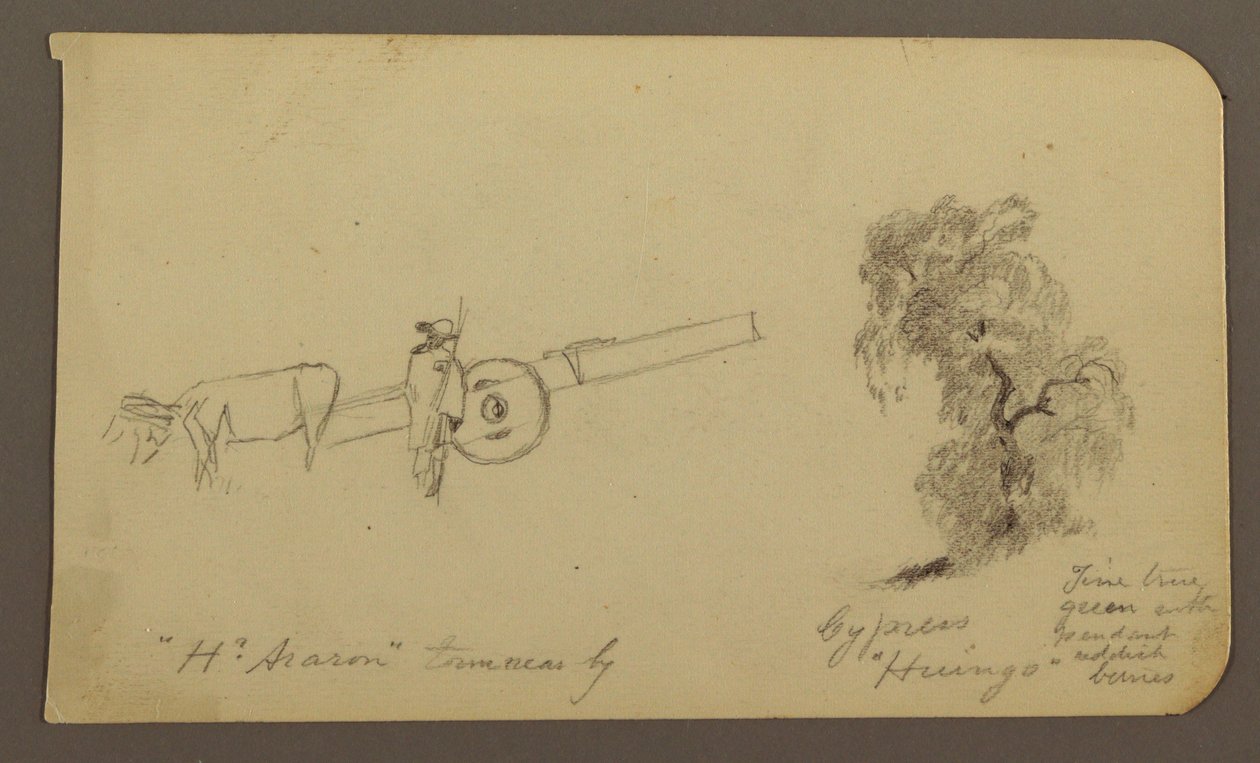 Tegning, Figur og oksekærre, cypresstræ; bagside: Udsigt over Cuitzeo-søen, januar 1885 af Frederic Edwin Church