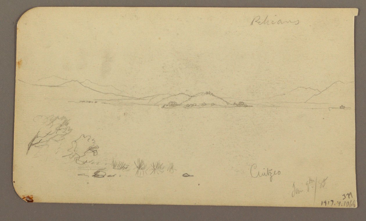 Tegning, Figur og oksekærre, cypresstræ; bagside: Udsigt over Cuitzeo-søen, januar 1885 af Frederic Edwin Church