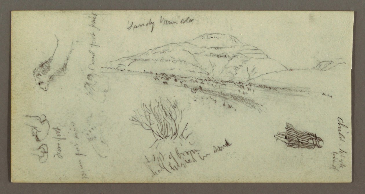 Tegning, bakke, buskads, figur, kamelstudier, muligvis 1868 af Frederic Edwin Church