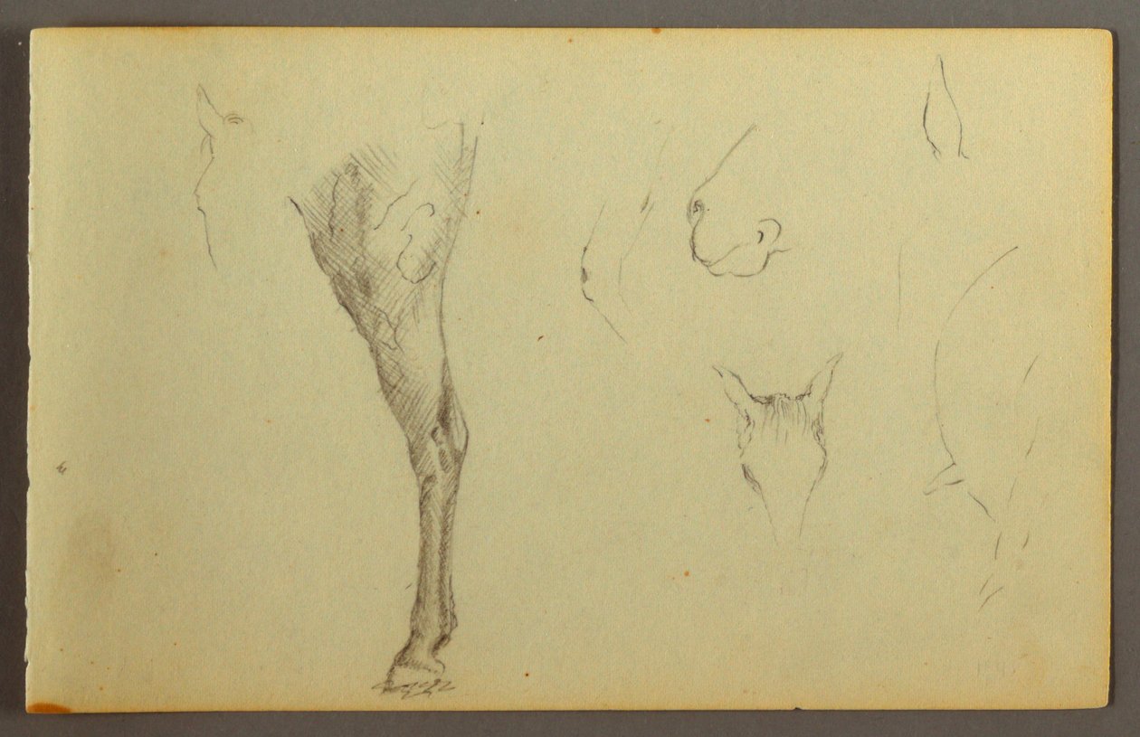 Tegning, Hestestudier, muligvis 1844 af Frederic Edwin Church