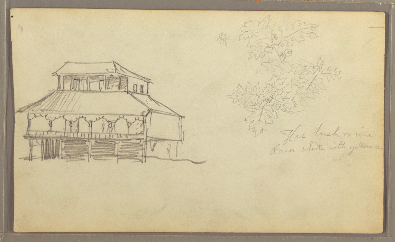 Tegning, hus, botanisk skitse, Ecuador eller Colombia, 1857 af Frederic Edwin Church