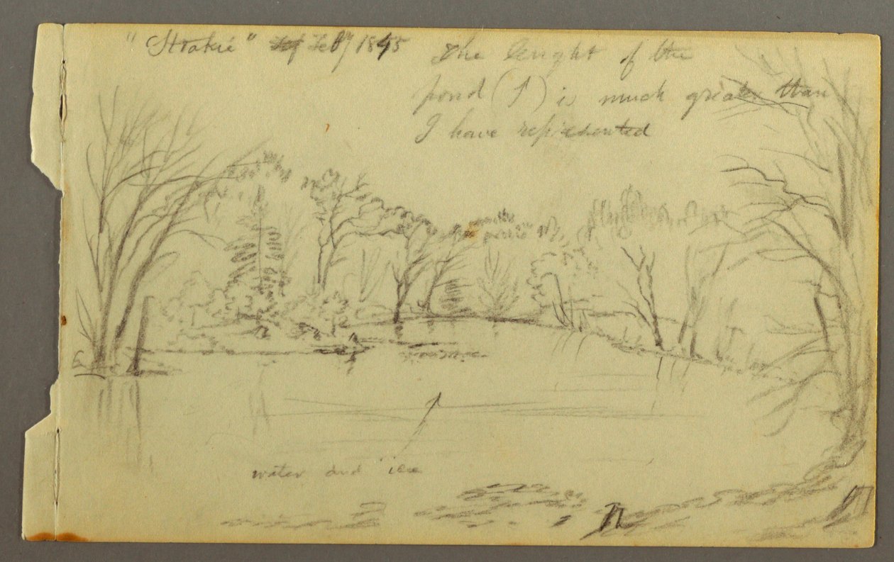 Tegning, Htakie () dam omkranset af træer, 1845 af Frederic Edwin Church