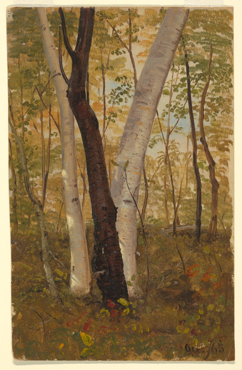 Tegning, I skoven, Hudson, New York, oktober 1865 af Frederic Edwin Church