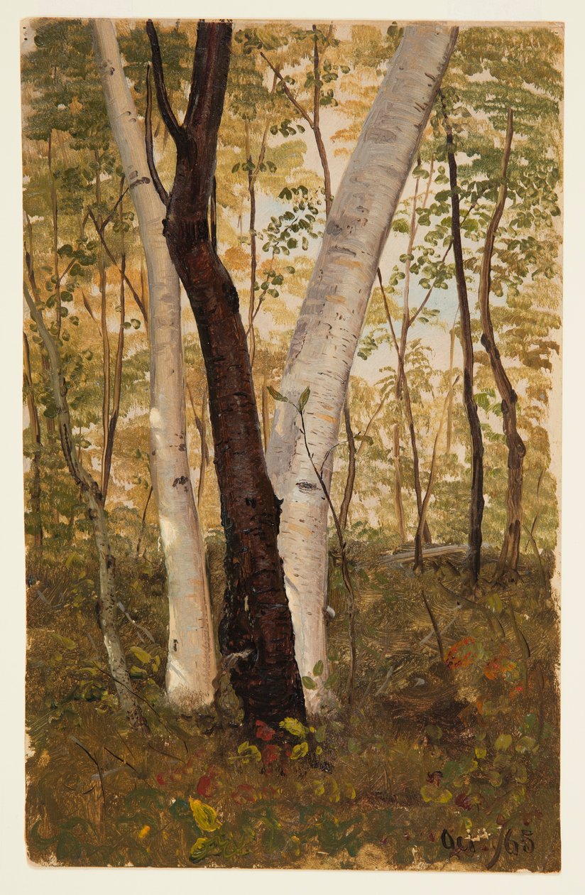 Tegning, I skoven, Hudson, New York, oktober 1865 af Frederic Edwin Church