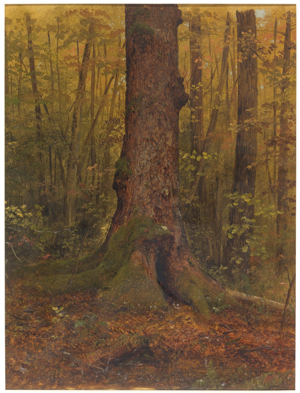 Tegning, I skoven, sandsynligvis Maine, 1850-60 af Frederic Edwin Church