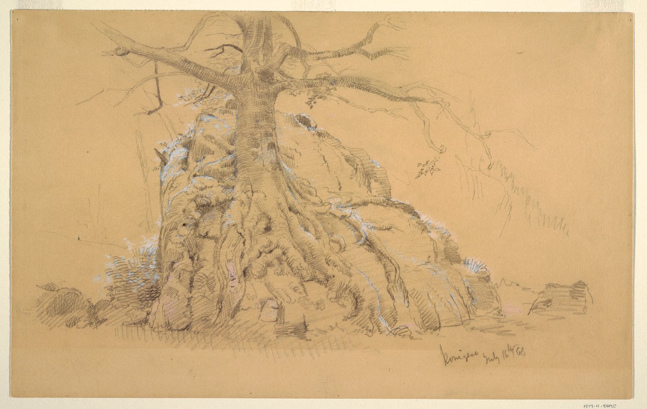 Tegning, Königssee-træet, 16. juli 1868 af Frederic Edwin Church