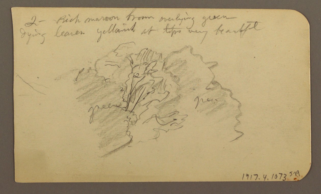 Tegning, Landskab, huse; Bagside: Trætop, februar 1885 af Frederic Edwin Church