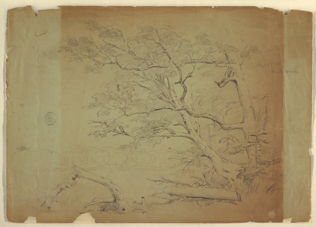 Tegning, Landskab med træer og en strøm [], Grand Manan Island, Canada, september 1851 af Frederic Edwin Church