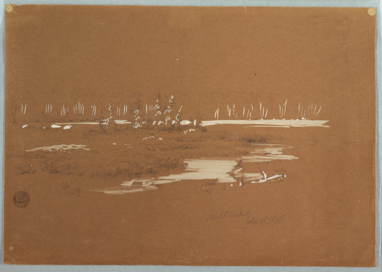 Tegning, sumpet landskab nær Millinocket, 20. september 1878 af Frederic Edwin Church