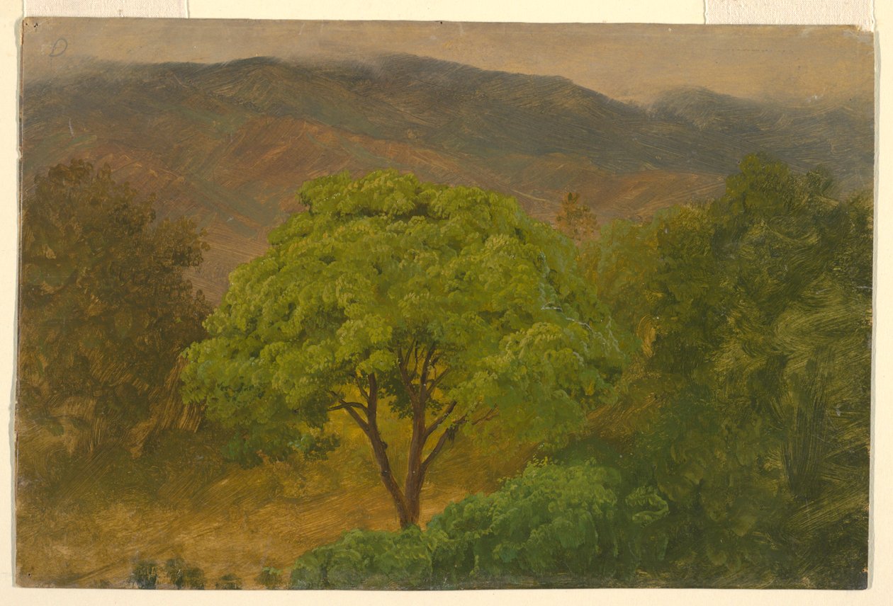 Tegning, bjerglandskab, august 1865 af Frederic Edwin Church
