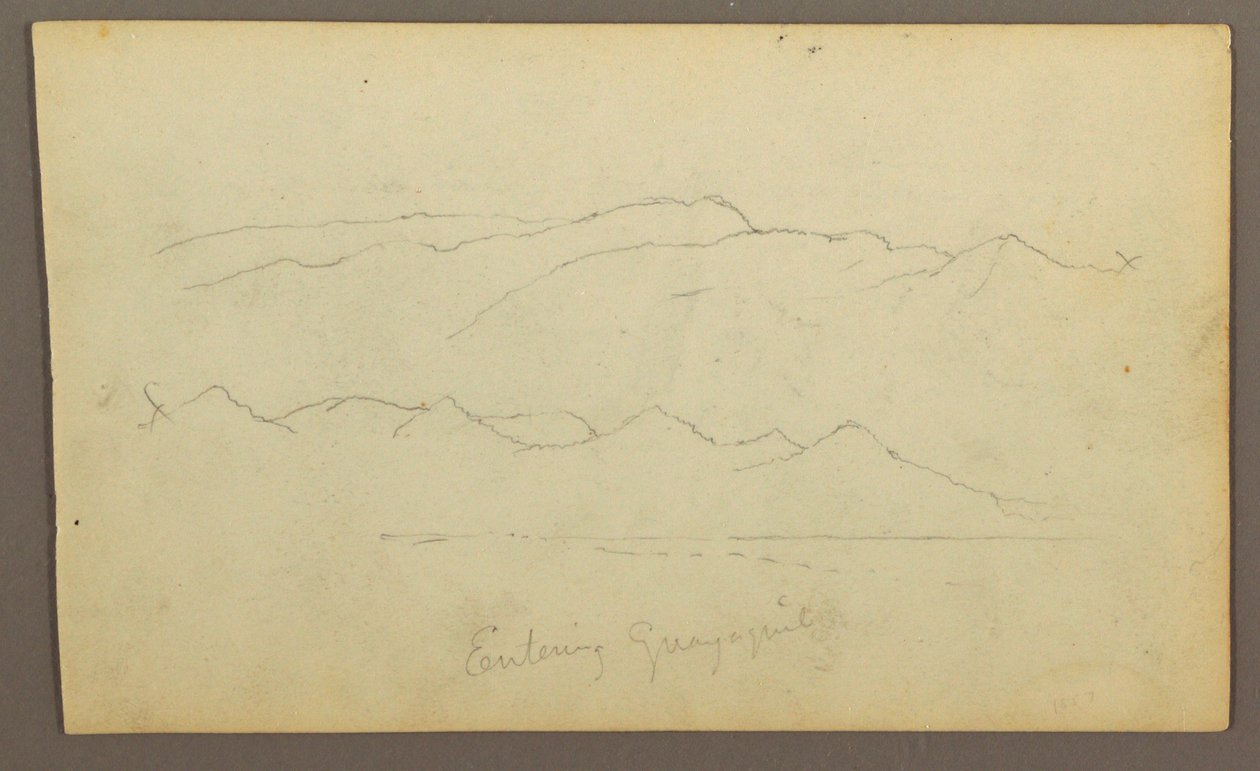 Tegning, bjergkæder "på vej ind i Guayaquil"; bagside: flodbred, botaniske skitser, muligvis 1857 af Frederic Edwin Church