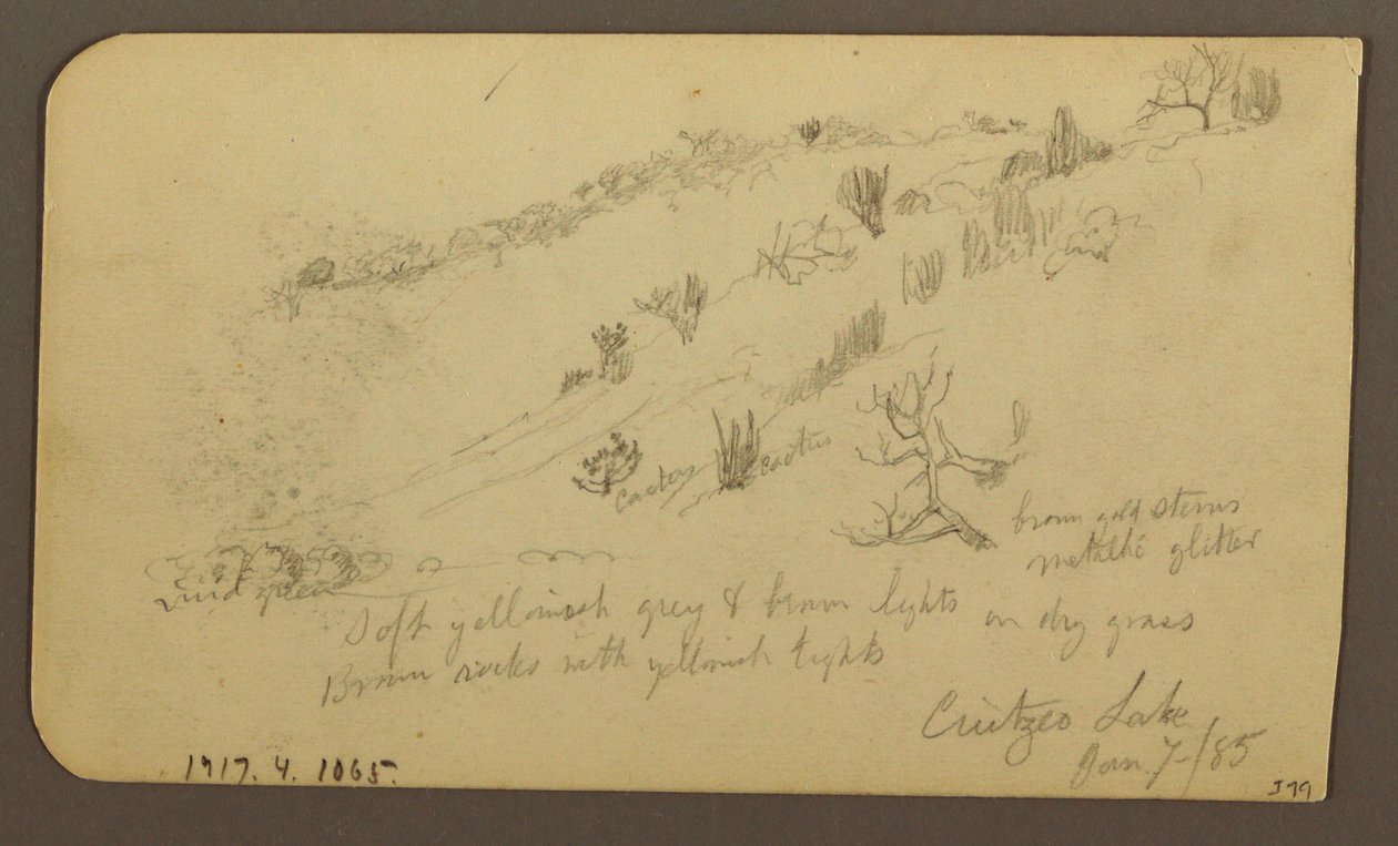 Tegning, bjerg, Zapotlan; bagside: Skovklædt bjergskråning, Cuitzeo-søen, januar 1885 af Frederic Edwin Church