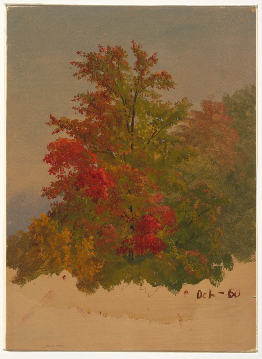 Tegning, Mt. Desert Island , Maine, oktober 1860 af Frederic Edwin Church