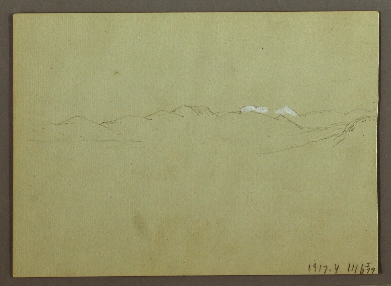 Tegning, plante- og landskabsstudie, 28. april 1869 af Frederic Edwin Church