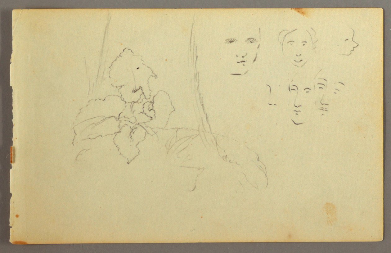 Tegning, Plantestudie, ansigter, muligvis 1844 af Frederic Edwin Church