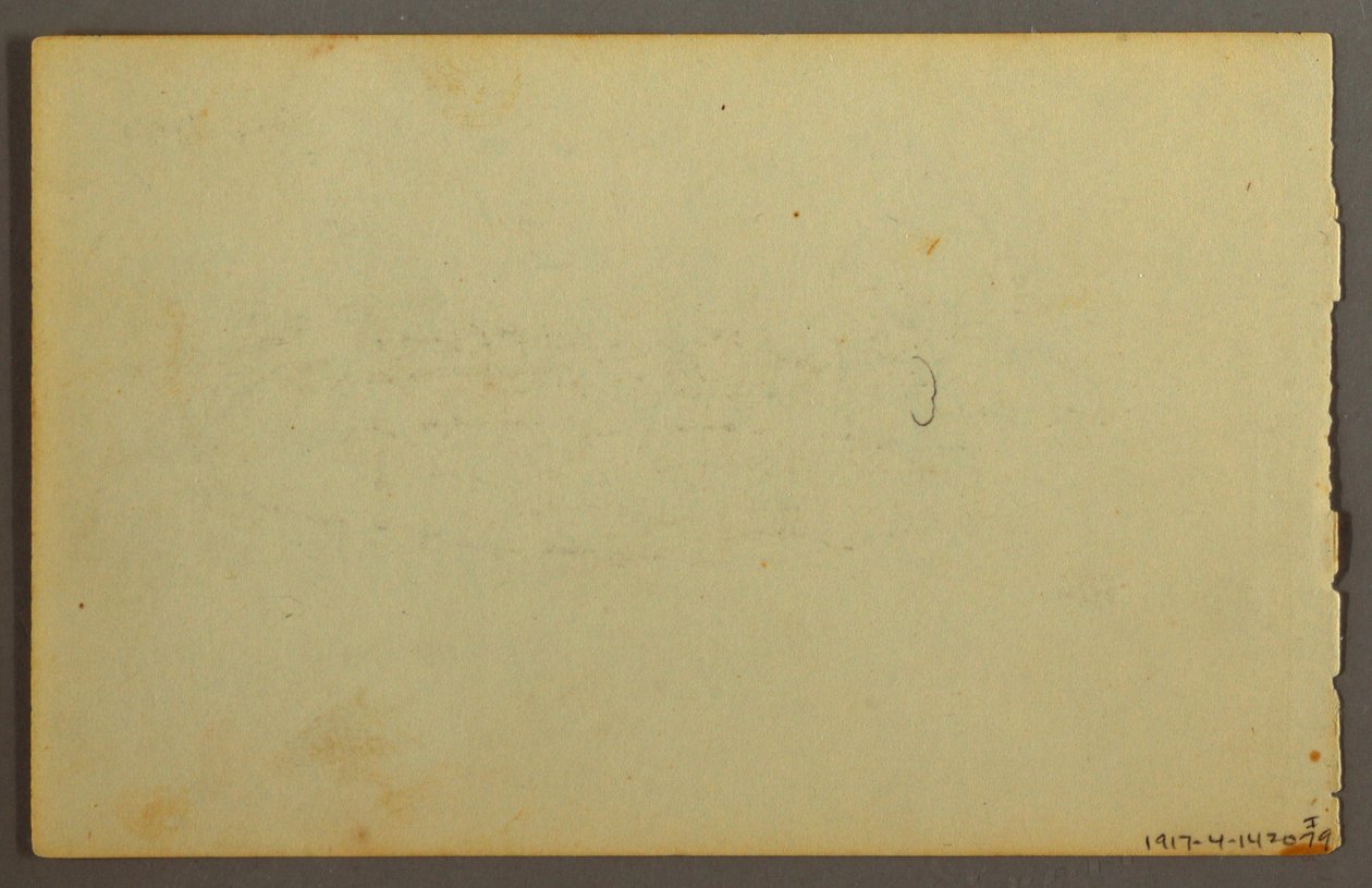 Tegning, Plantestudie, ansigter, muligvis 1844 af Frederic Edwin Church