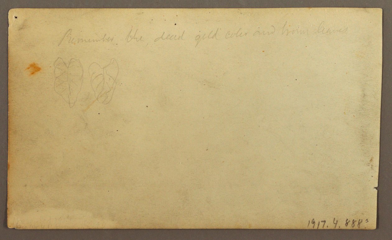 Tegning, Limona-floden nær en landsby, Ecuador eller Colombia; bagside: Blade, 1857 af Frederic Edwin Church