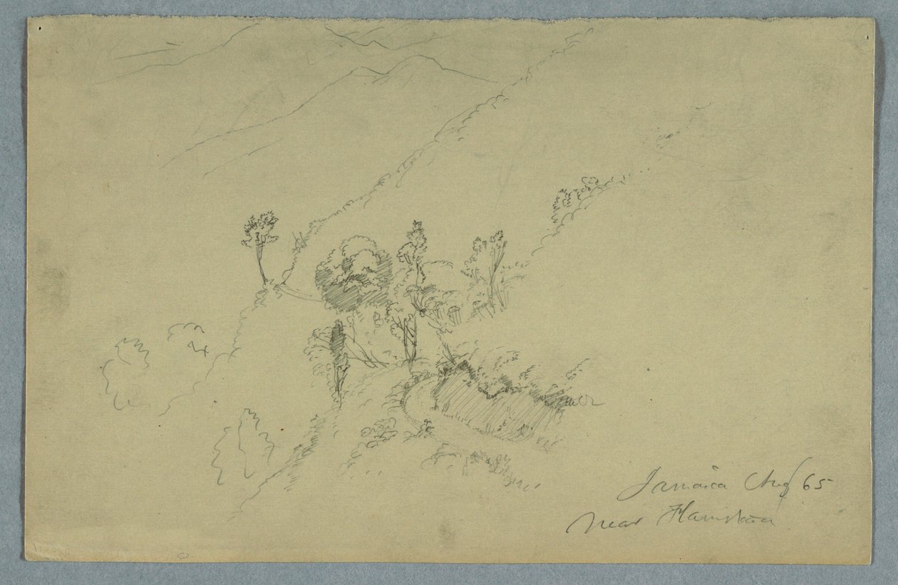 Tegning, vej gennem Blue Mountains, nær Homestead, Jamaica, august 1865 af Frederic Edwin Church