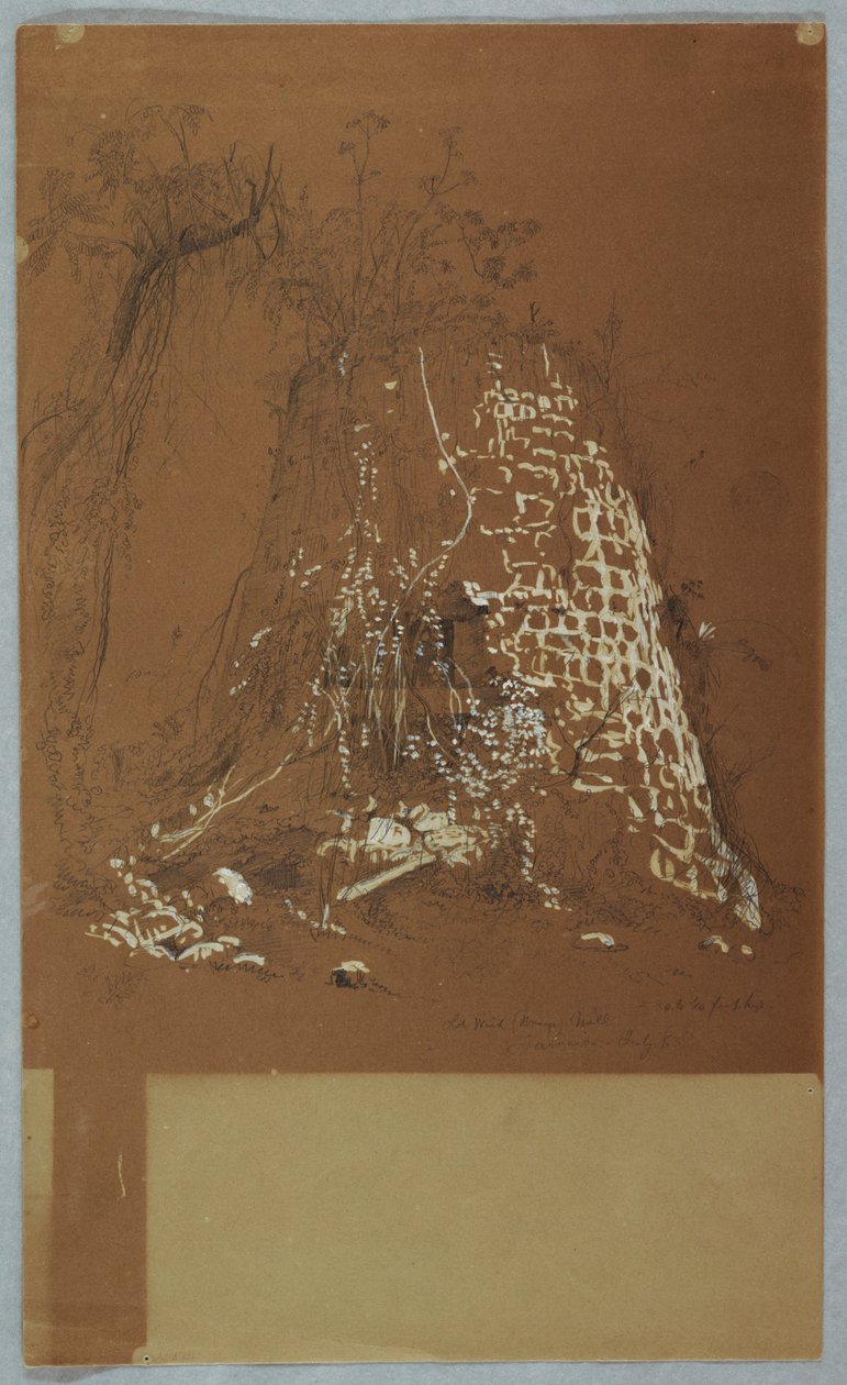 Tegning, ødelagt gammel vindmølle, Jamaica, juli 1865 af Frederic Edwin Church
