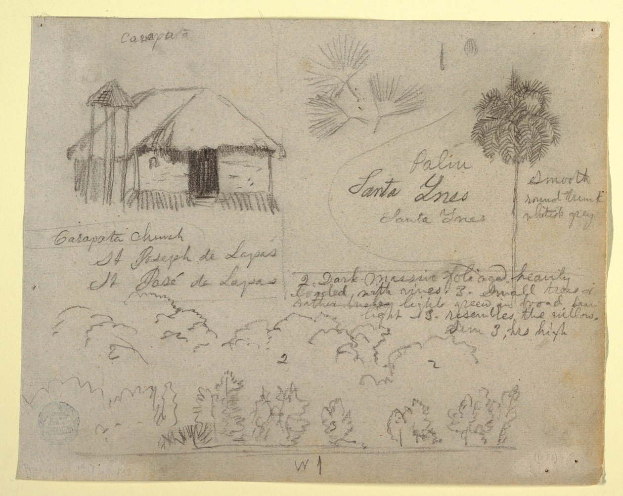 Tegning, San Jose de Lapas-kirken, Carapata og botaniske studier, sandsynligvis Colombia, 1853 af Frederic Edwin Church