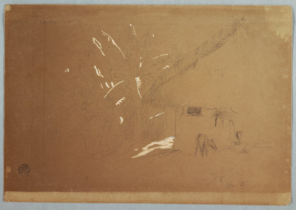 Tegning, siddende kvinde og græssende æsel foran et hus nær Jorje, Ecuador, 23. juni 1857 af Frederic Edwin Church