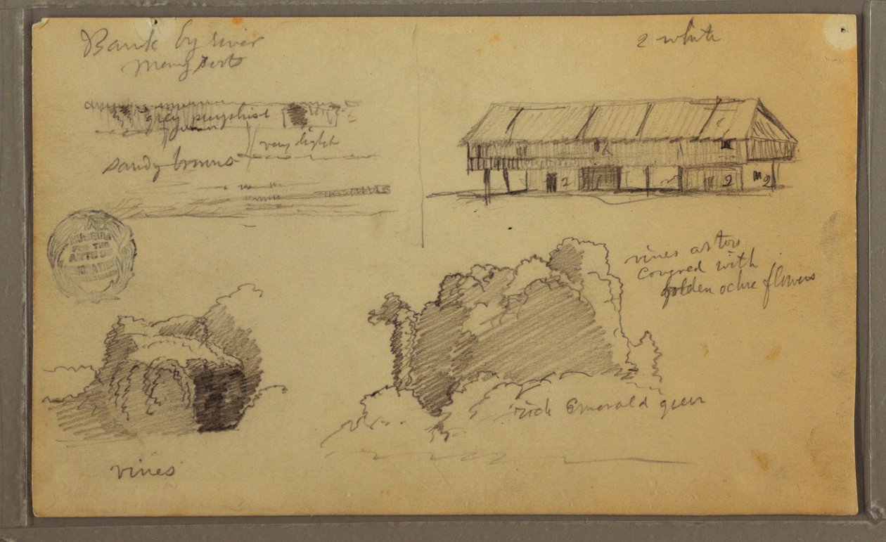 Tegning, Skitser, Ecuador eller Colombia; bagside: Skitser, Ecuador eller Colombia, 1857 af Frederic Edwin Church