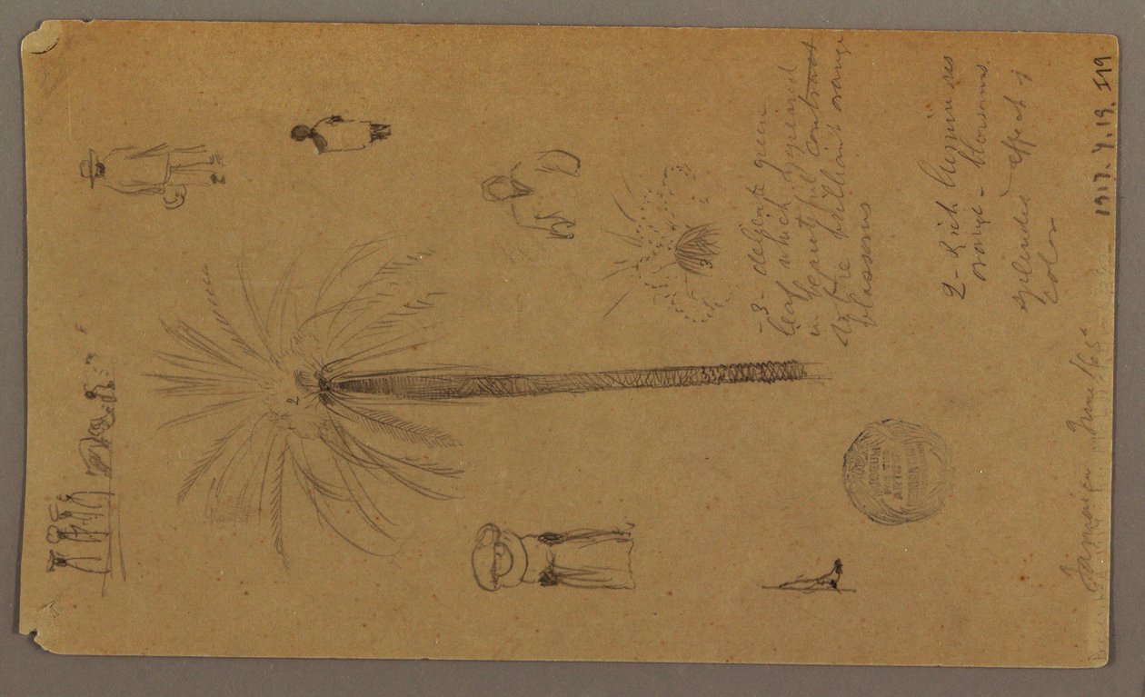 Tegning, Skitser fra Jamaica, Vestindien, juni 1865 af Frederic Edwin Church