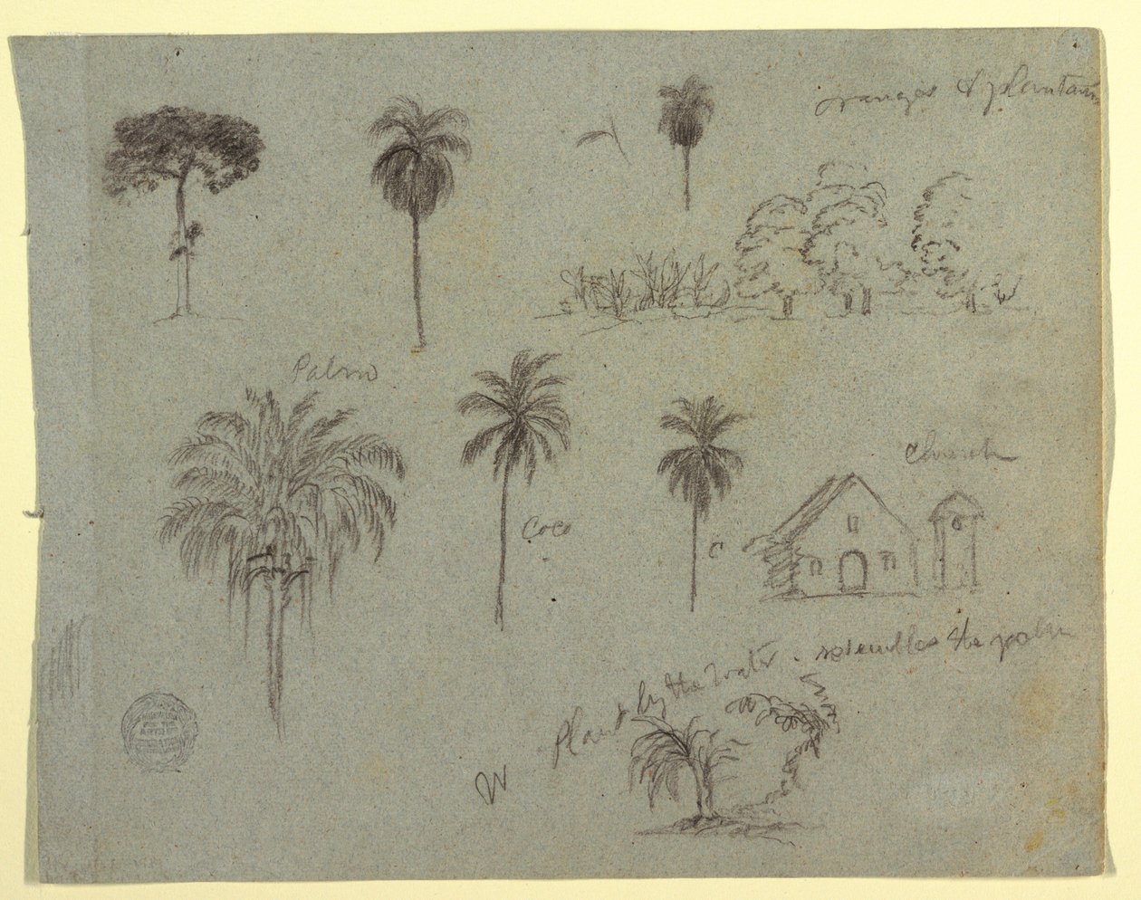 Tegning, Skitser fra Rio Magdalene, Columbia:  Botaniske studier og en kirke, maj 1853 af Frederic Edwin Church