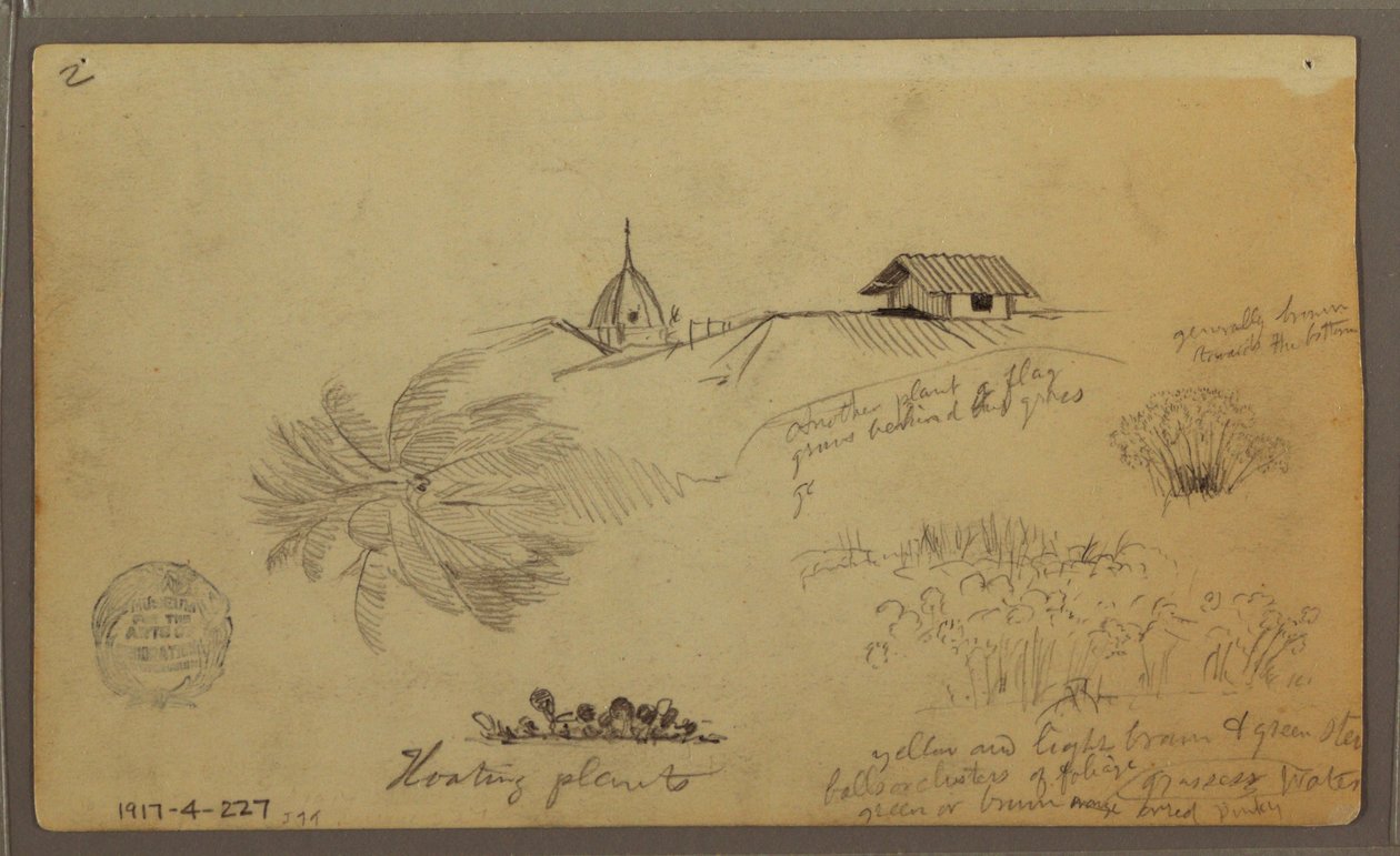 Tegning, Himmel over havet; bagside: Botaniske skitser, Hustage, maj 1857 af Frederic Edwin Church