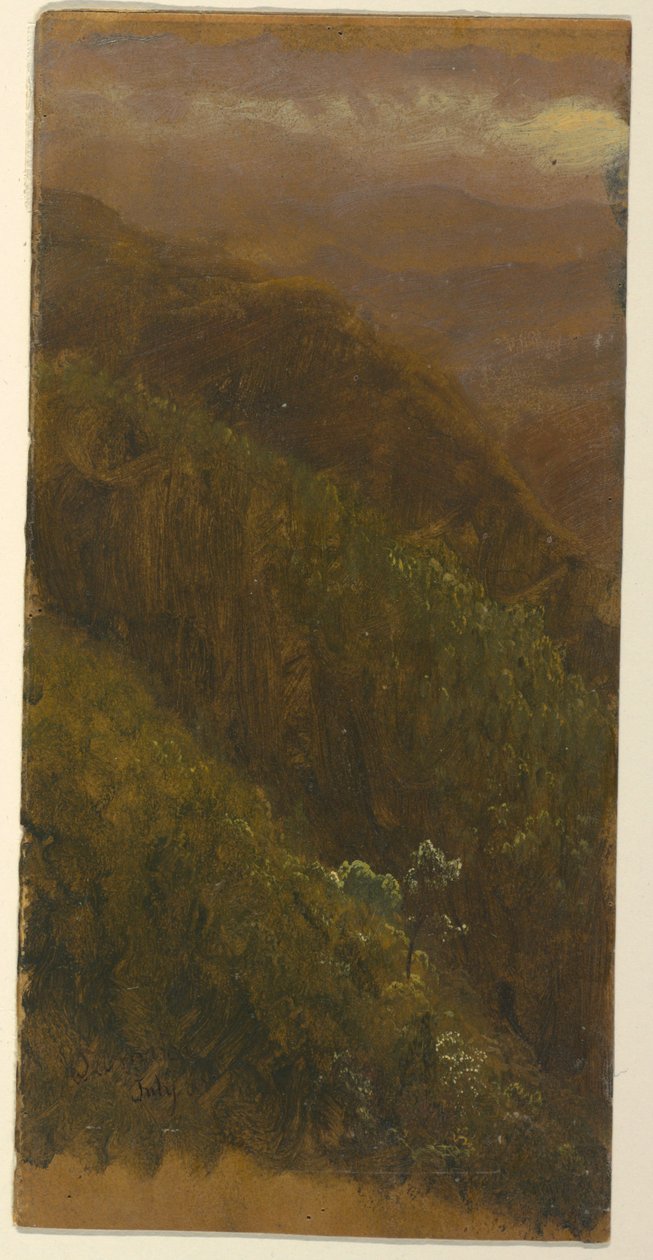 Tegning, stejl bjergskråning, juli 1865 af Frederic Edwin Church